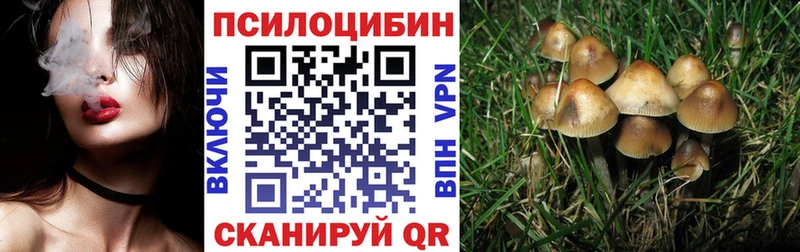 ОМГ ОМГ ссылки  Старая Русса  Псилоцибиновые грибы мицелий 