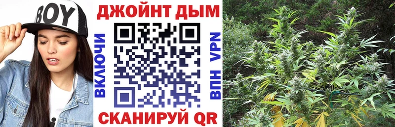 Шишки марихуана SATIVA & INDICA  купить   Старая Русса 